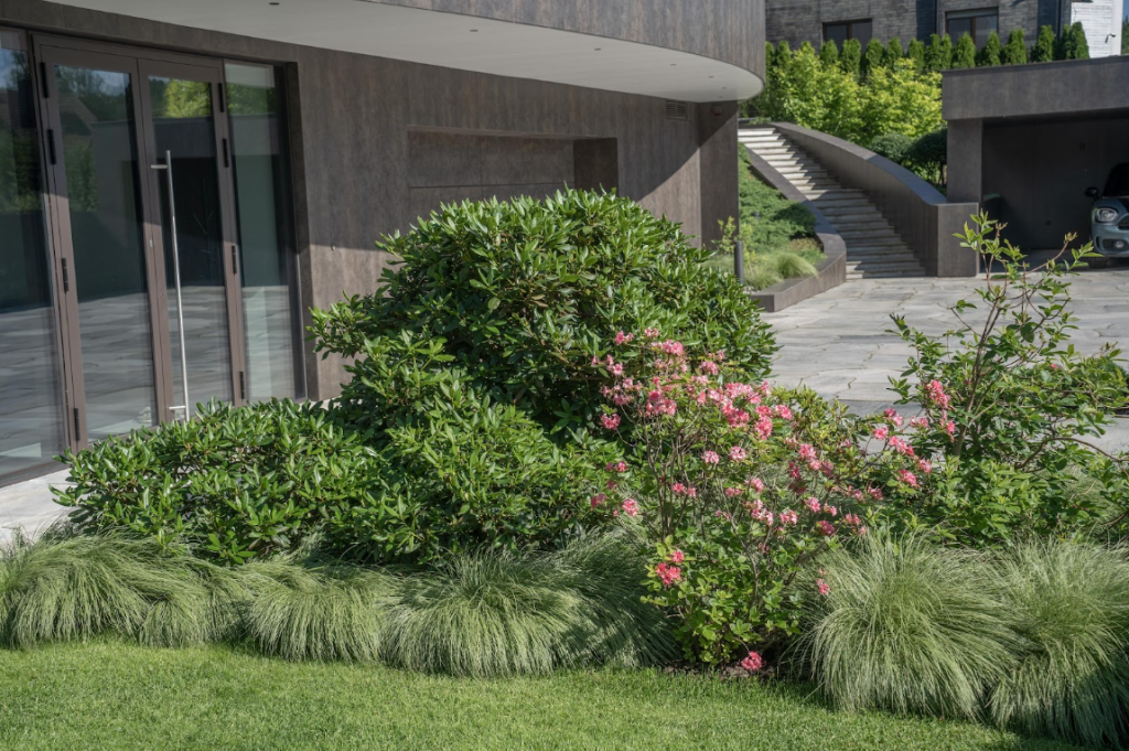 PIRMAS ĮSPŪDIS LEMIA VISKĄ