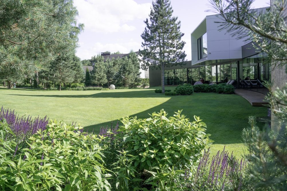 Modernaus landšafto dizaino pavyzdys su erdvia pieva, dekoratyviniais augalais ir šiuolaikiška architektūra.