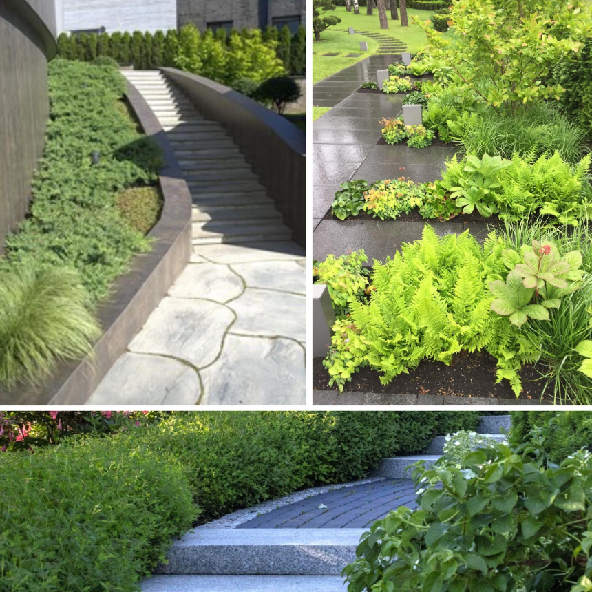 Elegantiški lauko laiptai ir žaluma – harmoningas landšafto dizaino sprendimas su dekoratyviniais augalais ir moderniomis takų dangomis.