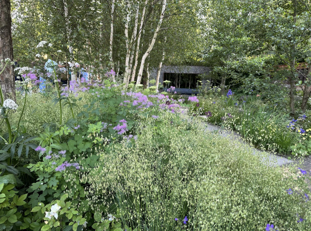 Natūralaus sodo apželdinimo pavyzdys – gausiai žydinti pievų augalų kompozicija, beržų giraitė fone bei jauki poilsio erdvė, kuri kuria harmoningą ryšį su gamta.